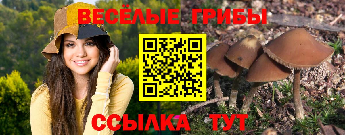 Тольятти  Галлюциногенные грибы ЛСД  Вход с VPN 